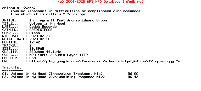 In_Flagranti_Feat_Andrew_Edward_Brown-Voices_In_My_Head-(CREDIGIF008)-WEB-2020