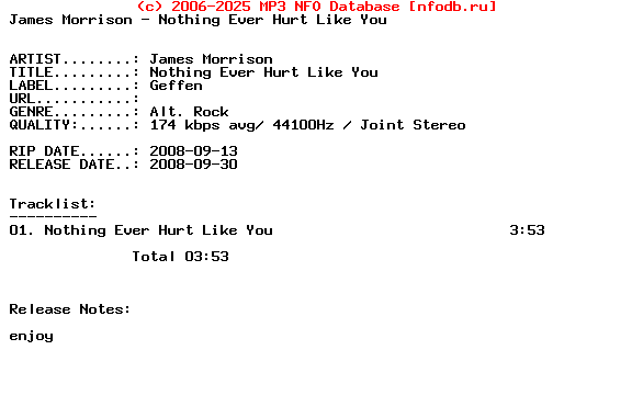James_Morrison-Nothing_Ever_Hurt_Like_You-(CDS)-2008
