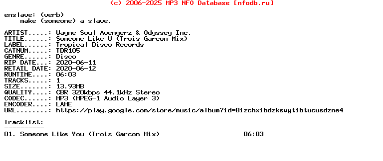 Wayne_Soul_Avengerz_And_Odyssey_Inc.-Someone_Like_U_(TROIS_GARCON_MIX)-(TDR105)-Single-WEB-2020