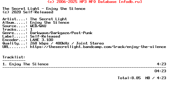 The_Secret_Light-Enjoy_The_Silence-Single-WEB-2020