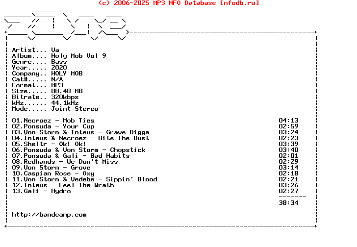 VA-Holy_Mob_Vol_9-WEB-2020-Z0Ne