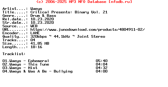 Waeys-Critical_Presents_Binary_Vol._21-(BINARY021)-WEB-2020