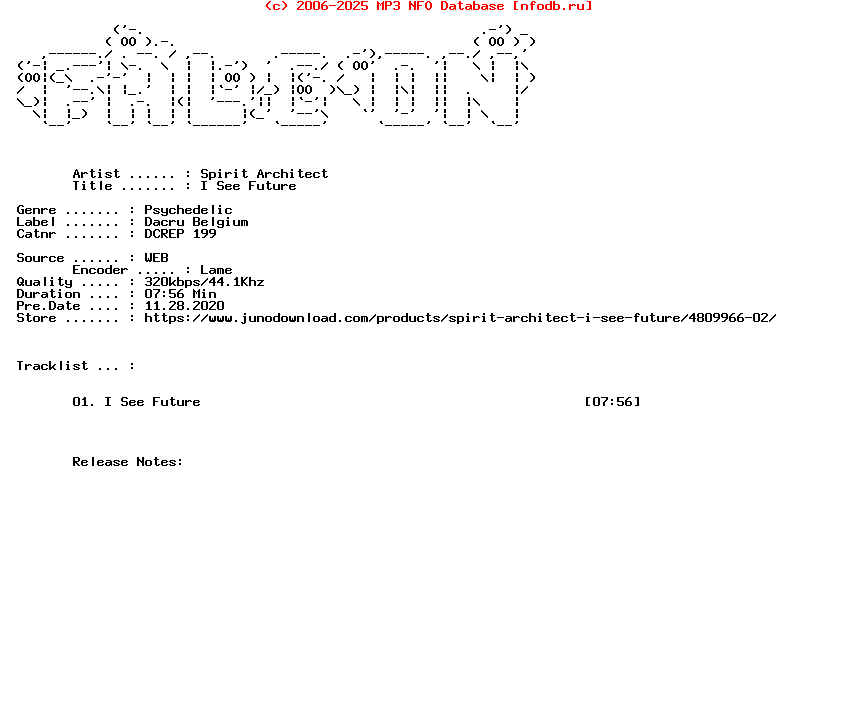 Spirit_Architect-I_See_Future-Single-WEB-2020-FALCON