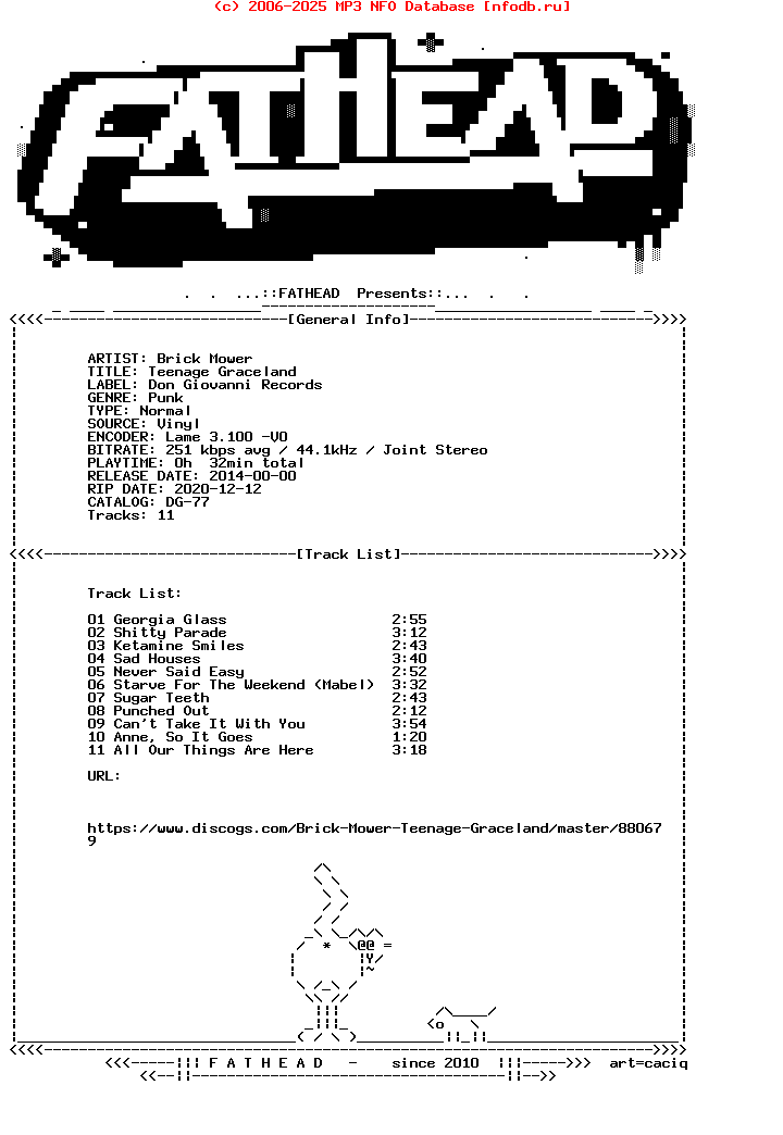 Brick_Mower-Teenage_Graceland-Vinyl-2014