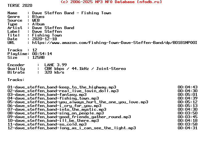 Dave_Steffen_Band-Fishing_Town-WEB-2015-Terse