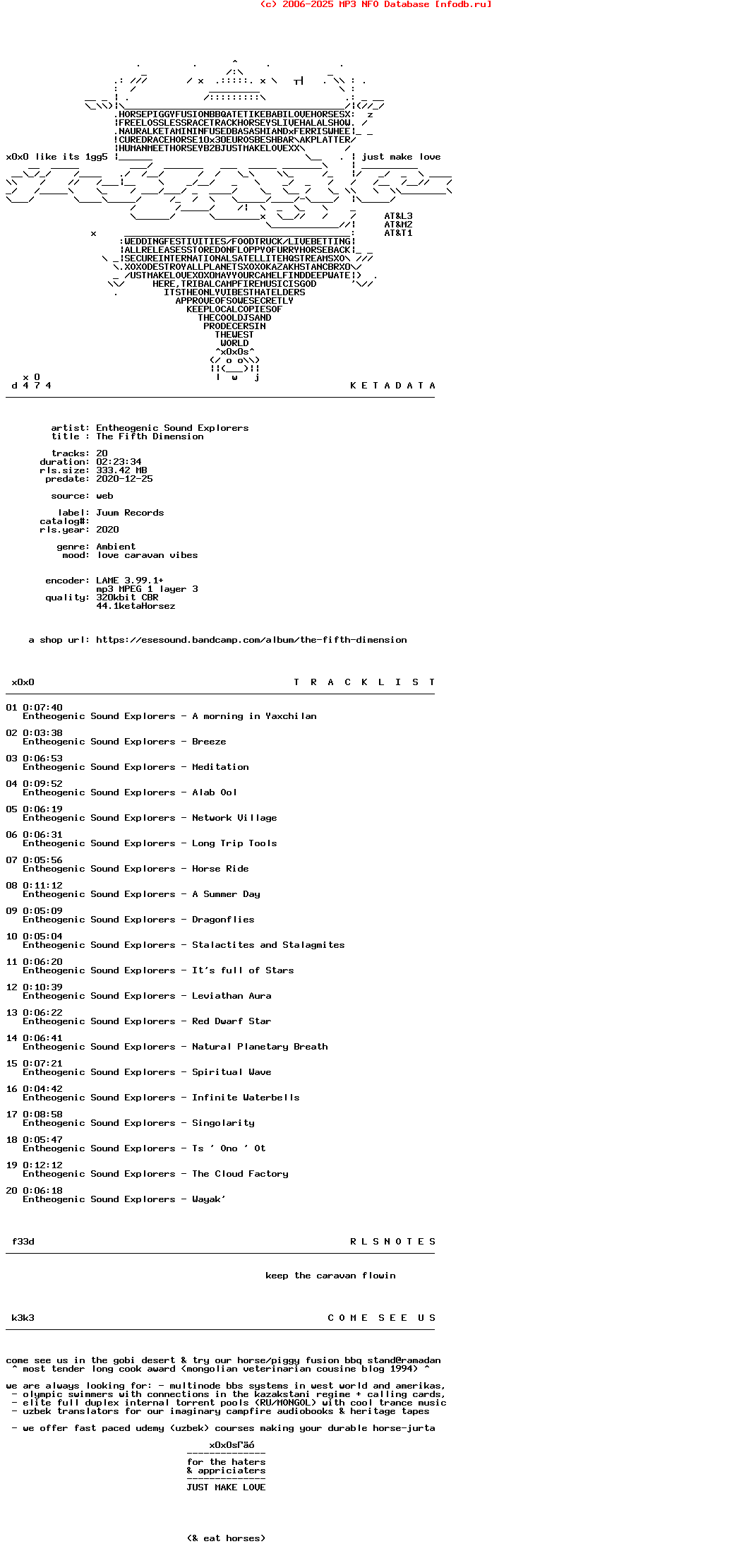 Entheogenic_Sound_Explorers--The_Fifth_Dimension-Remastered-WEB-2020-X0X0S