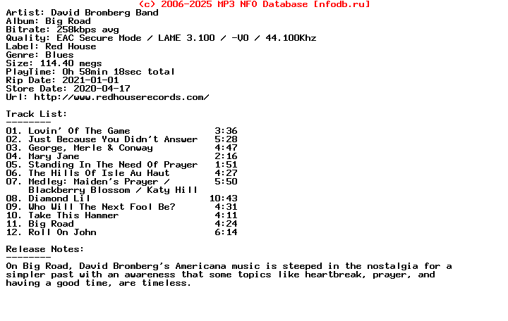 David_Bromberg_Band-Big_Road-2020