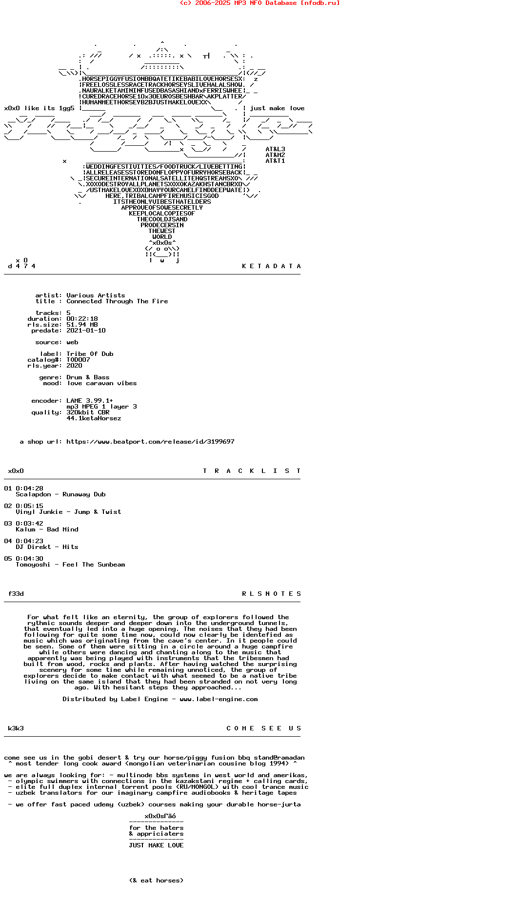 VA-Connected_Through_The_Fire-(TOD007)-WEB-2020-X0X0S