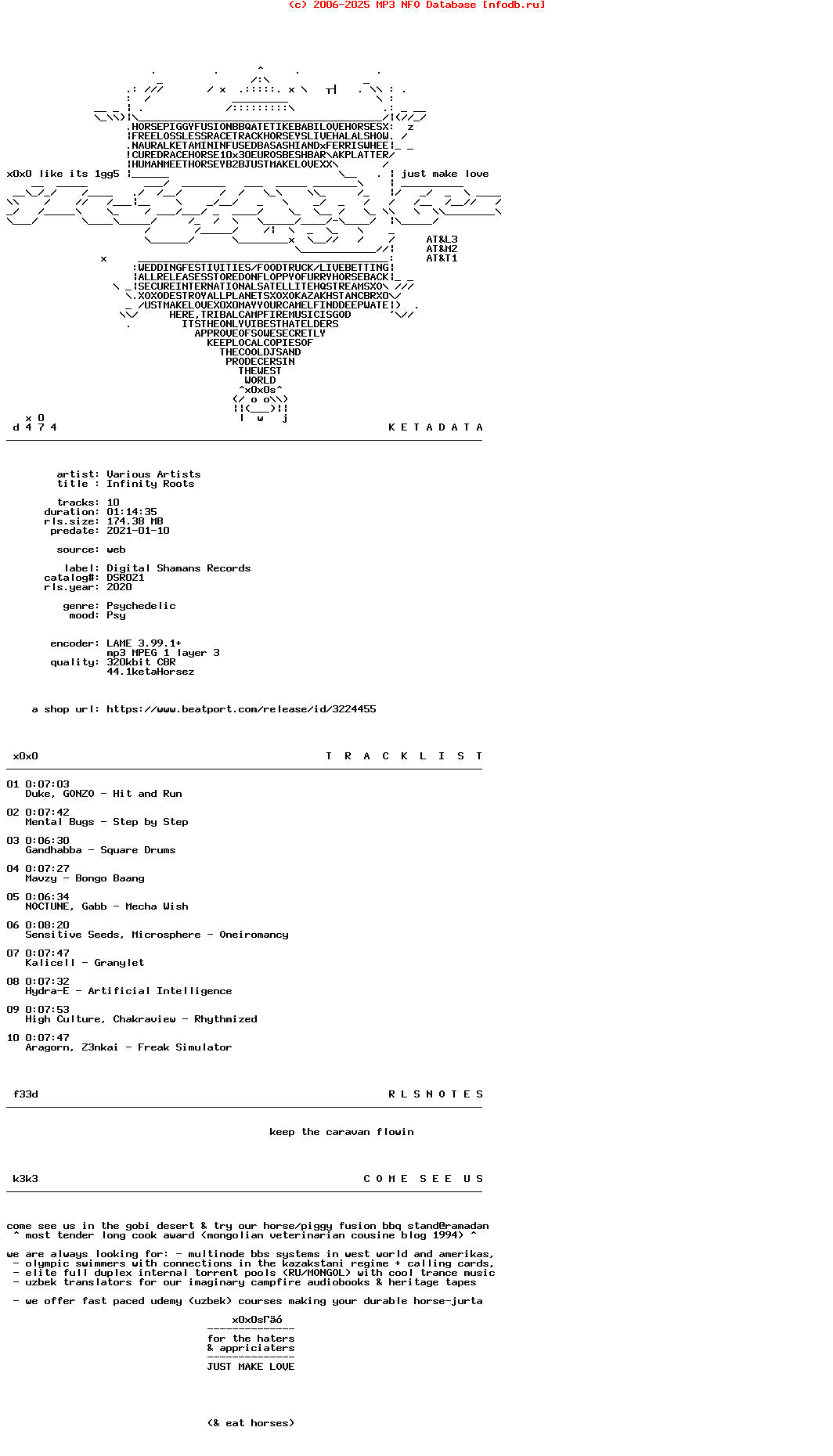 VA-Infinity_Roots-(DSR021)-WEB-2020-X0X0S