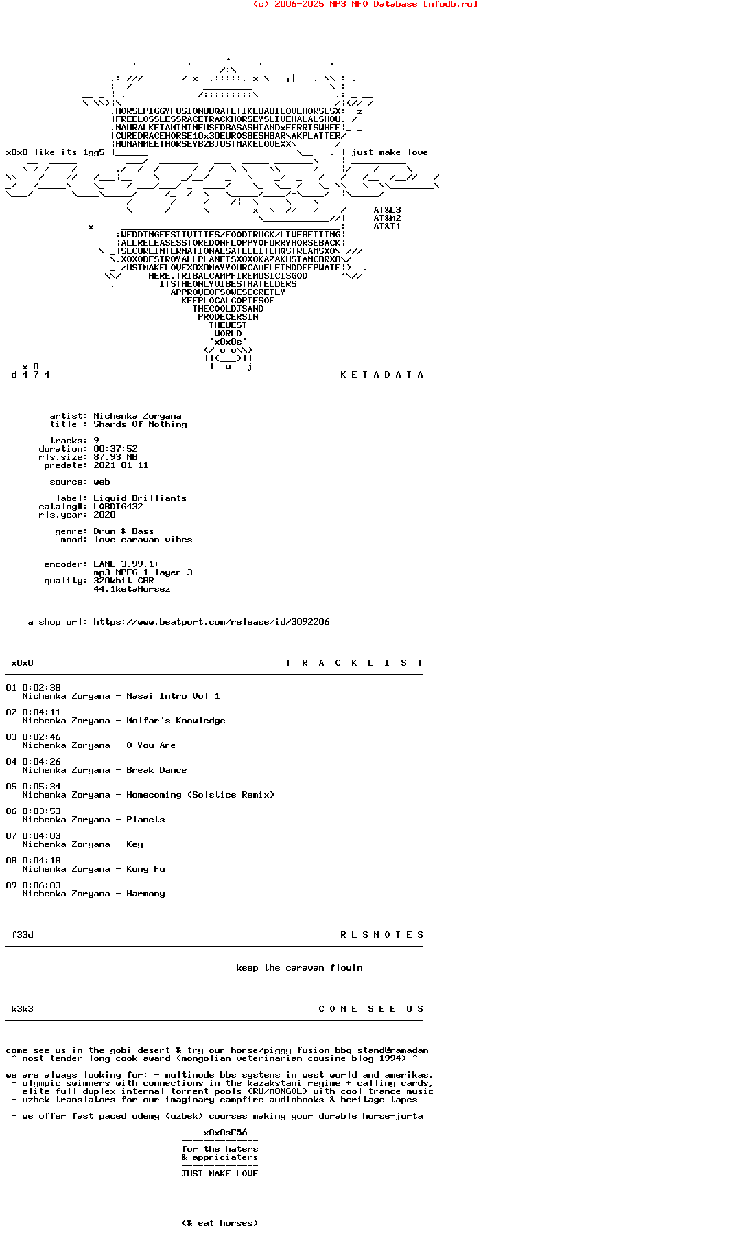 Nichenka_Zoryana--Shards_Of_Nothing-(LQBDIG432)-WEB-2020-X0X0S