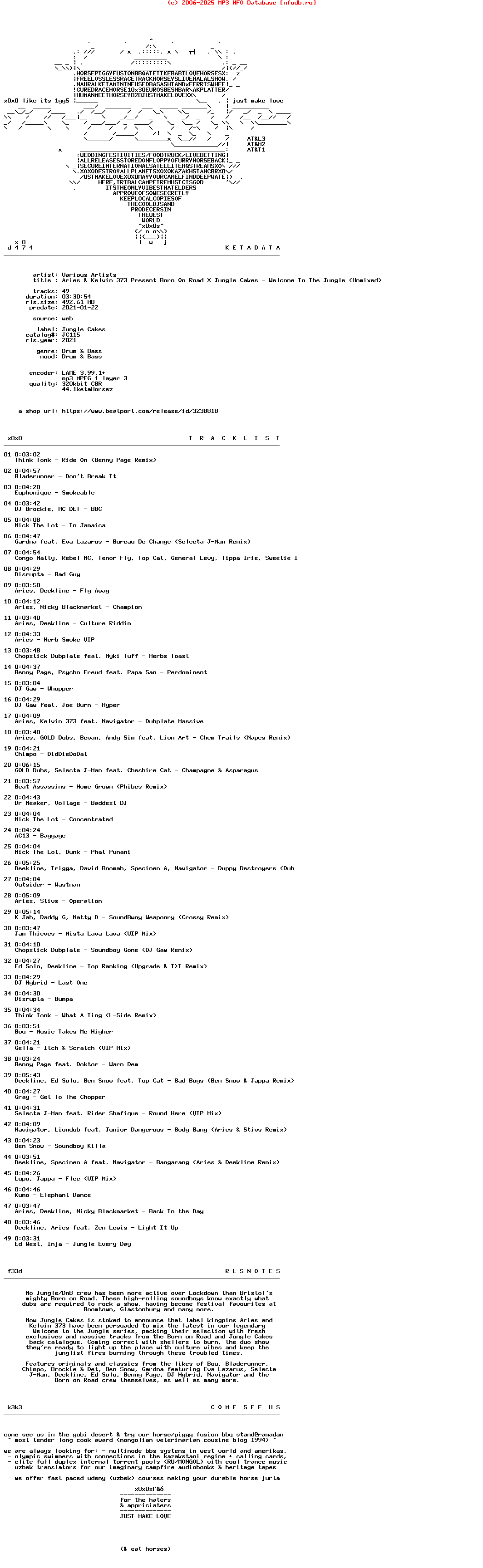 VA-Aries_And_Kelvin_373_Present_Born_On_Road_X_Jungle_Cakes-Welcome_To_The_Jungle_(UNMIXED)-(JC115)-WEB-2021-X0X0S