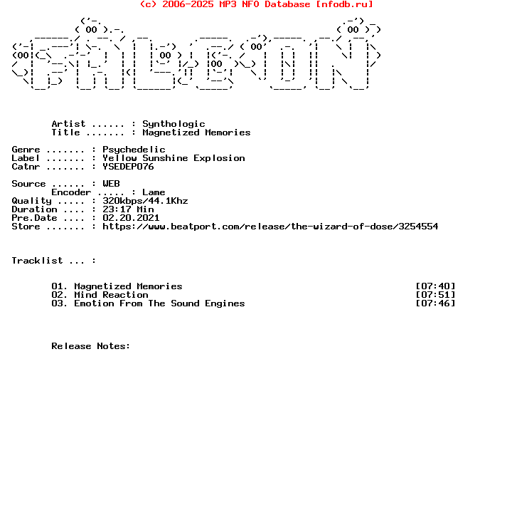 Synthologic-Magnetized_Memories-WEB-2021-FALCON