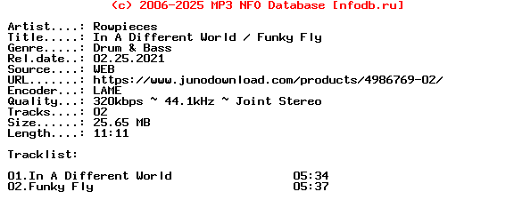 Rowpieces-In_A_Different_World__Funky_Fly-(ROW023)-WEB-2021