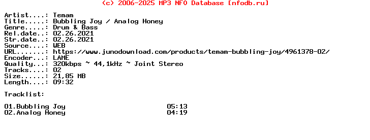 Temam-Bubbling_Joy__Analog_Honey-(SNB082)-WEB-2021