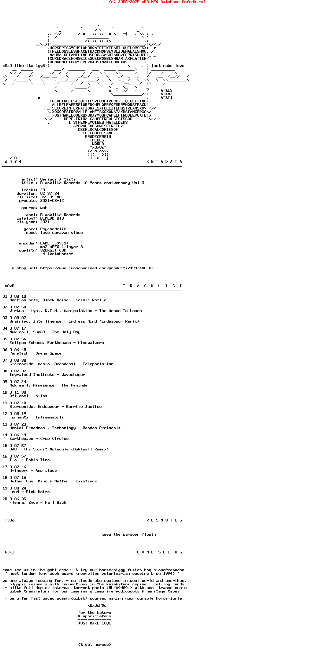 VA-Blacklite_Records_10_Years_Anniversary_Vol_3-(BLKLDD013)-WEB-2021-X0X0S