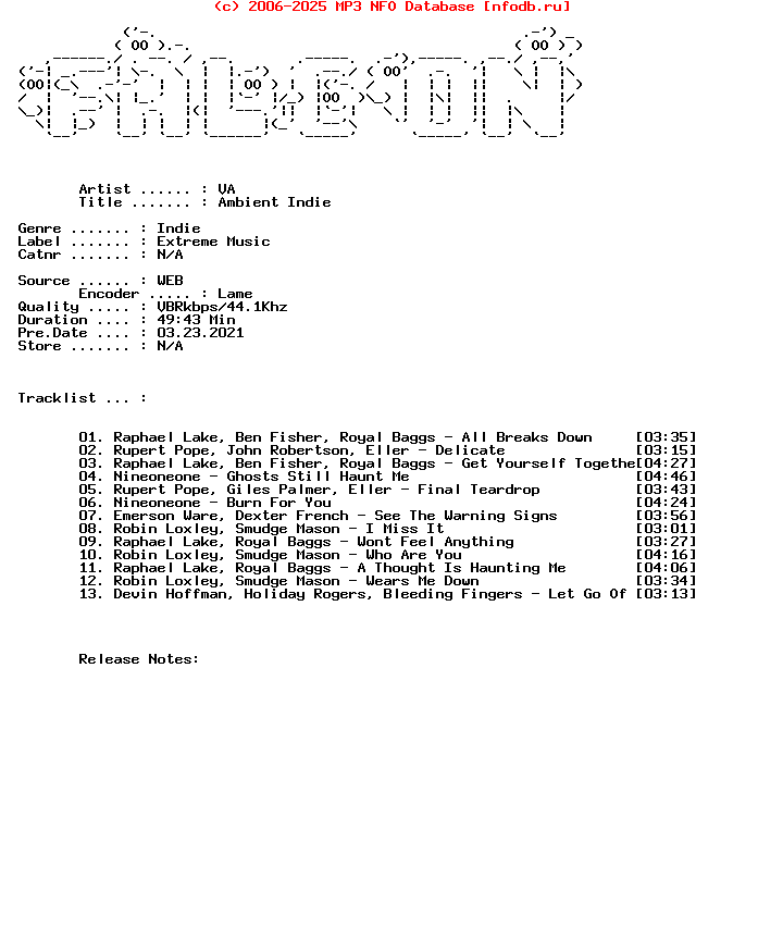 VA-Ambient_Indie-WEB-2020-Falcon_Int