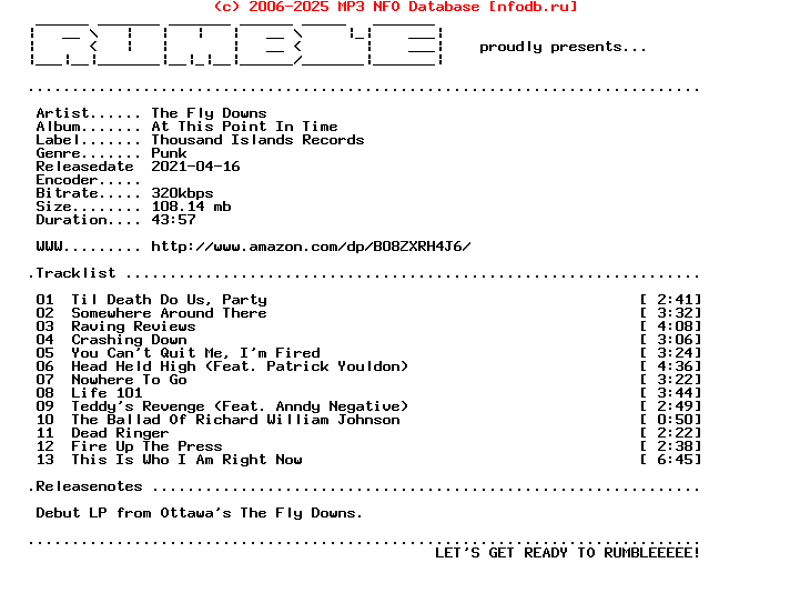 The_Fly_Downs-At_This_Point_In_Time-(WEB)-2021