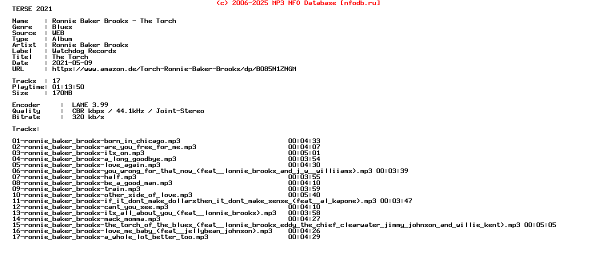 Ronnie_Baker_Brooks-The_Torch-WEB-2006-Terse