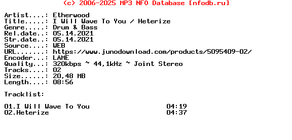 Etherwood-I_Will_Wave_To_You__Heterize-(NHS425DD)-WEB-2021