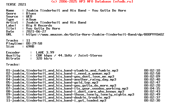 Joakim_Tinderholt_And_His_Band-You_Gotta_Do_More-WEB-2014-Terse