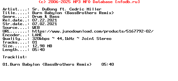 Sr._Dubong_Ft._Cedric_Miller-Burn_Babylon_(BASSBROTHERS_REMIX)-(KILLAZ075DIG)-Single-WEB-2021