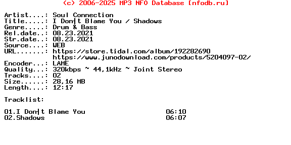 Soul_Connection-I_Dont_Blame_You__Shadows-(YUMI013)-WEB-2021