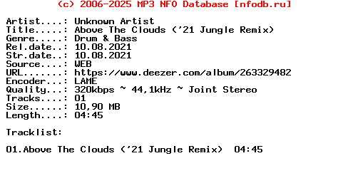Unknown_Artist-Above_The_Clouds_(21_JUNGLE_REMIX)-(VIBEZ93LTD003)-Single-WEB-2021