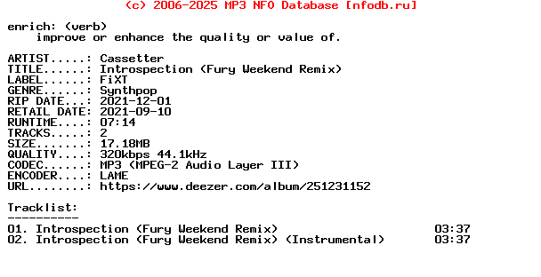 Cassetter-Introspection_(FURY_WEEKEND_REMIX)-WEB-2021