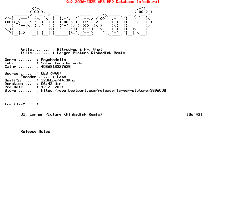 Nitrodrop_And_Mr._What-Larger_Picture_Rinkadink_Remix-(4056813327625)-Single-WEB-2021-FALCON