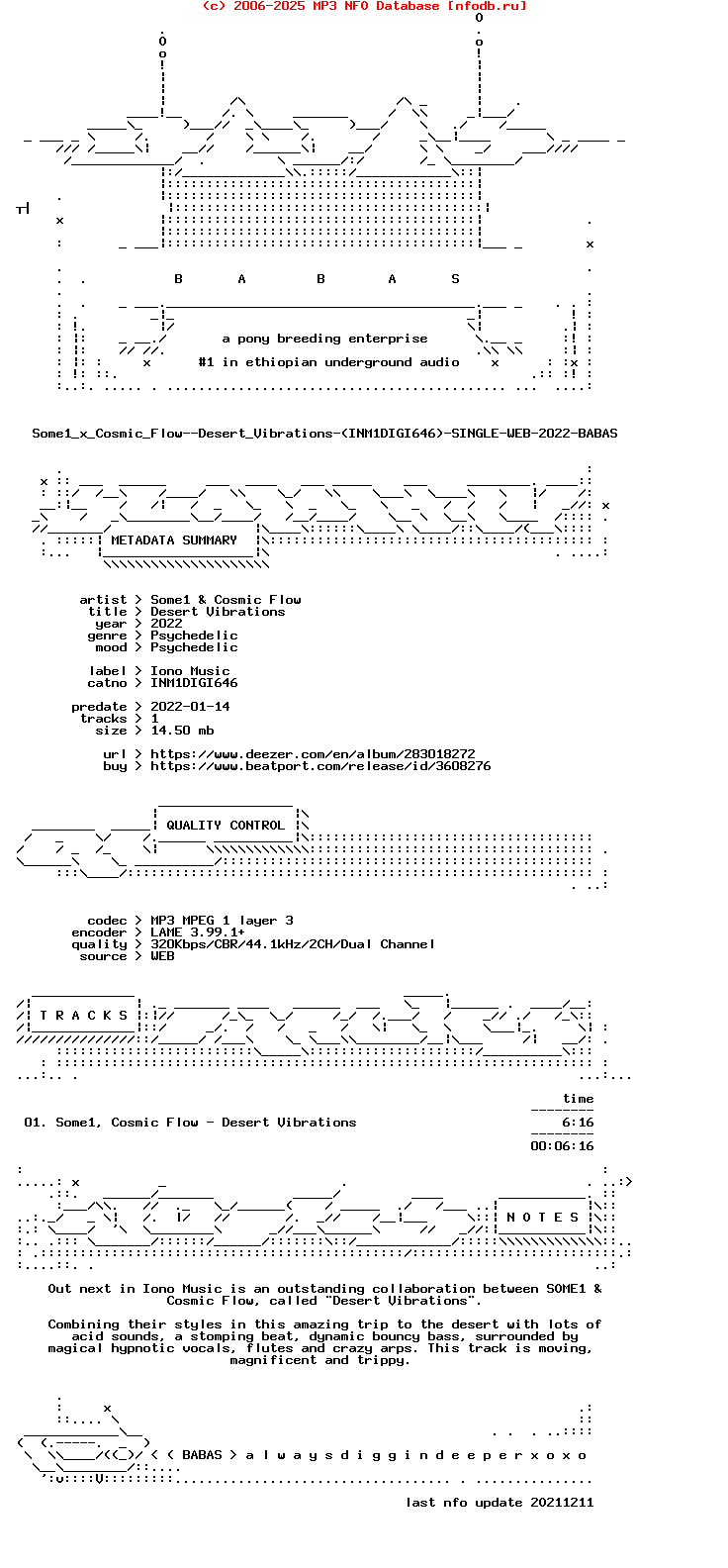 Some1_X_Cosmic_Flow--Desert_Vibrations-(INM1DIGI646)-Single-WEB-2022-BABAS