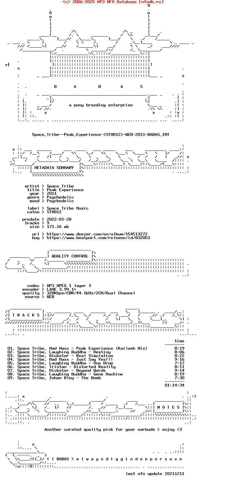 Space_Tribe--Peak_Experience-(STM012)-WEB-2011-Babas_Int