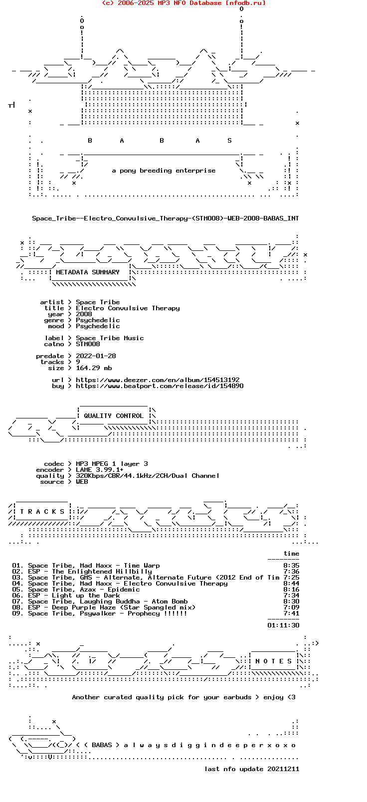 Space_Tribe--Electro_Convulsive_Therapy-(STM008)-WEB-2008-Babas_Int