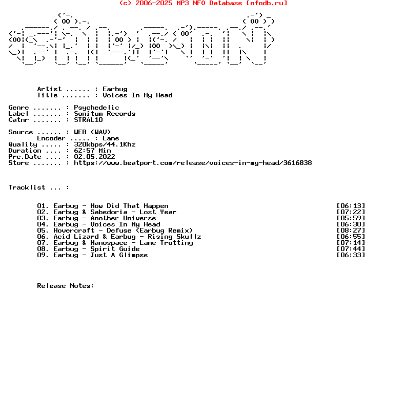 Earbug-Voices_In_My_Head-(STRAL10)-WEB-2022-FALCON