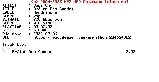 Dope.Gng-Bruler_Des_Condos-Single-WEB-FR-2022-Guests