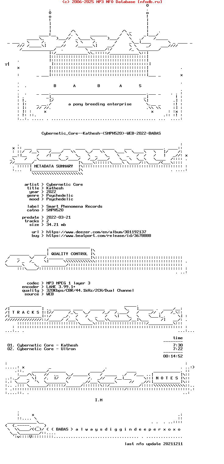 Cybernetic_Core--Kathesh-(SMPH520)-WEB-2022-BABAS