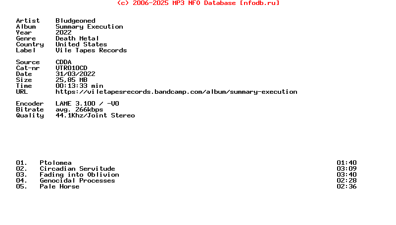 Bludgeoned-Summary_Execution-CDEP-2022