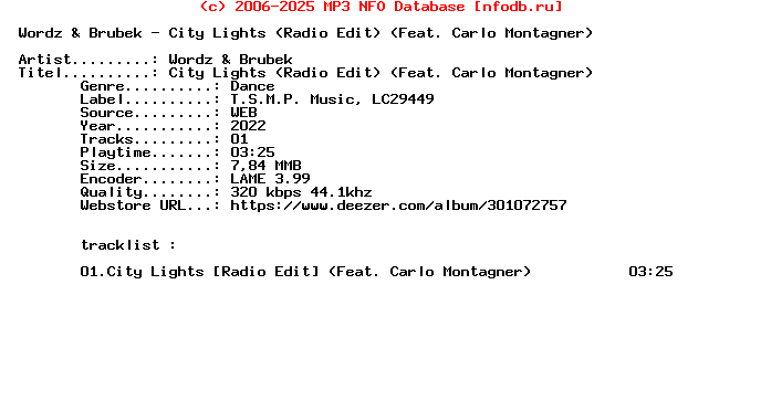 Wordz_And_Brubek_-_City_Lights_(RADIO_EDIT)_(FEAT._CARLO_MONTAGNER)-Single-WEB-2022