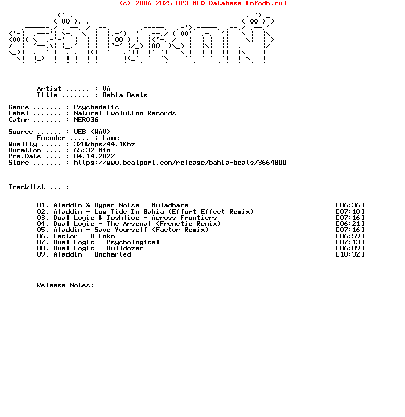 VA-Bahia_Beats-(NER036)-WEB-2022-FALCON