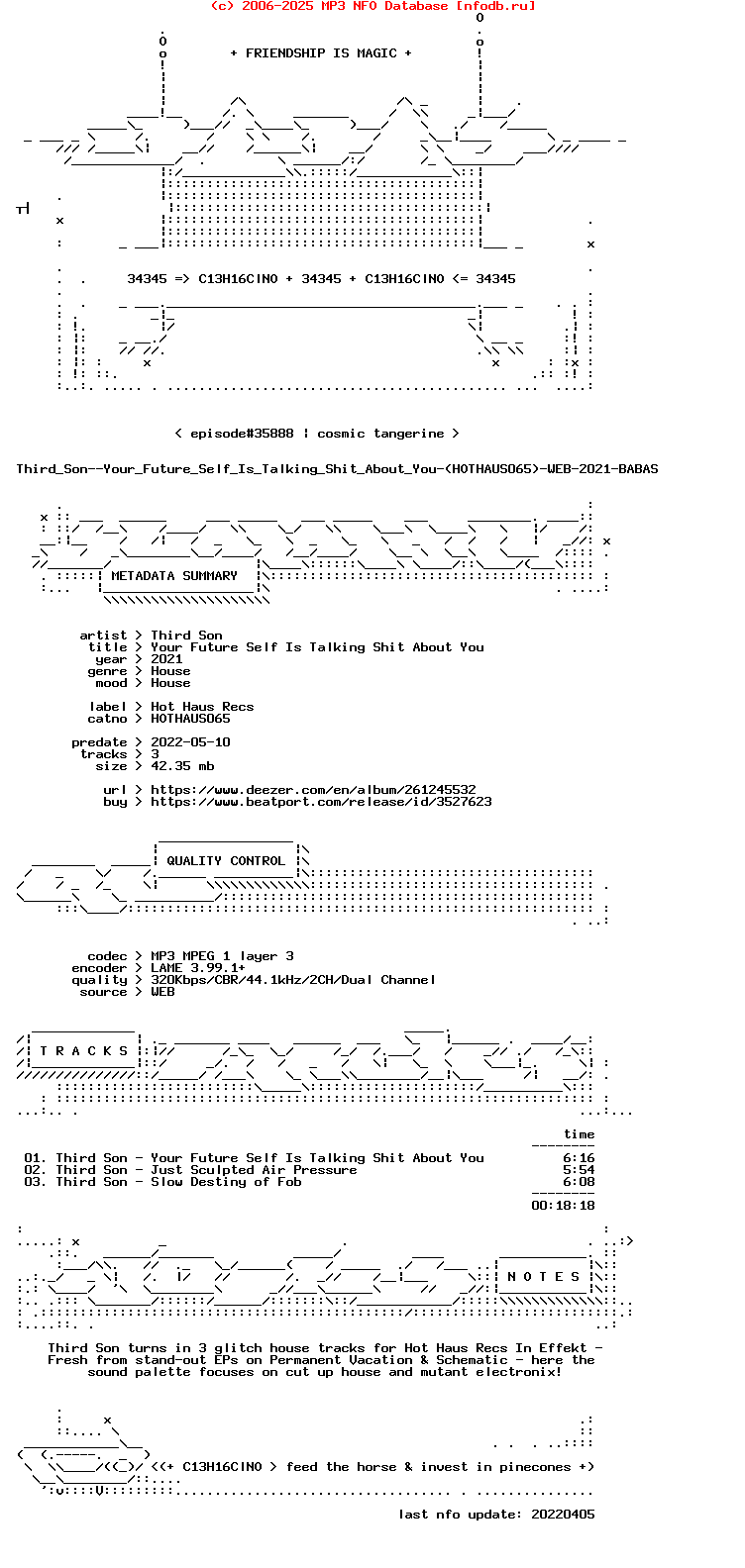Third_Son--Your_Future_Self_Is_Talking_Shit_About_You-(HOTHAUS065)-WEB-2021-BABAS