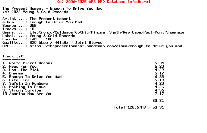The_Present_Moment-Enough_To_Drive_You_Mad-WEB-2022
