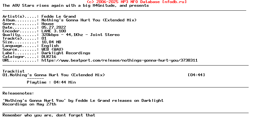 Fedde_Le_Grand-Nothings_Gonna_Hurt_You_(EXTENDED_MIX)-(DLR216)-Single-WEB-2022