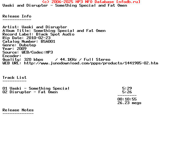 Vaski_And_Disrupter-Something_Special_And_Fat_Omen-(BSA001)-WEB-2009