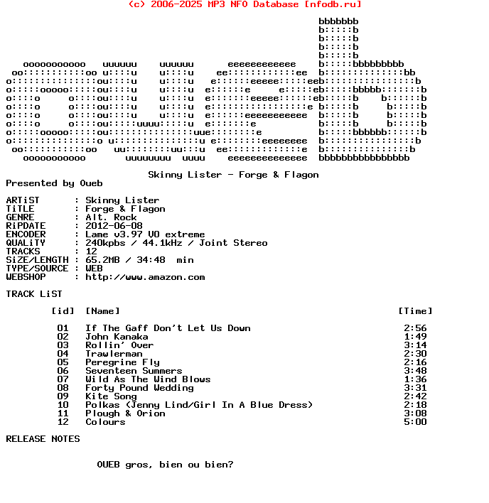 Skinny_Lister-Forge_And_Flagon-WEB-2012