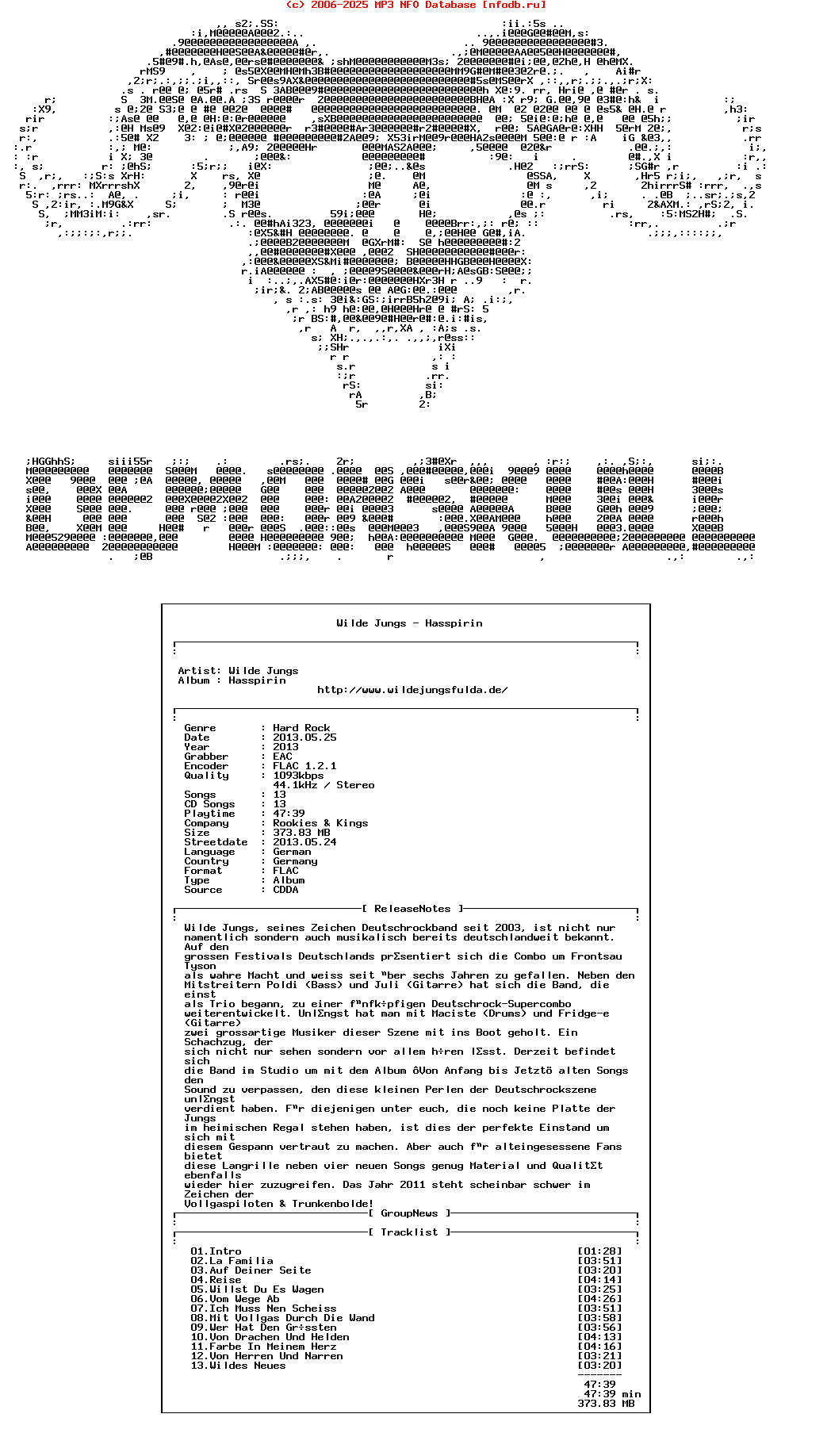 Wilde_Jungs-Hasspirin-DE-CD-FLAC-2013-Demonskull