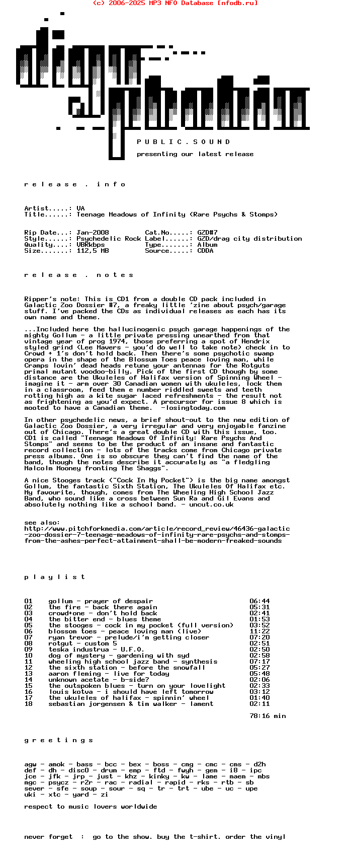 VA-Teenage_Meadows_Of_Infinity_(RARE_PSYCHS_AND_STOMPS)-2007-DPS