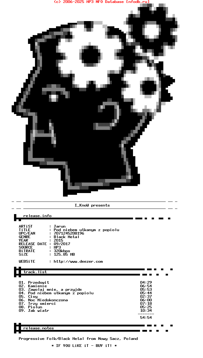Jarun-Pod_Niebem_Utkanym_Z_Popiolu-WEB-PL-2015-Ik