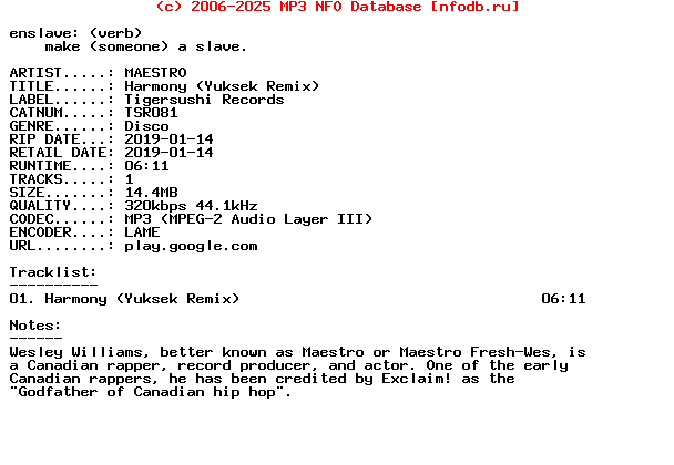 Maestro-Harmony_(YUKSEK_REMIX)-(TSR081)-WEB-2019