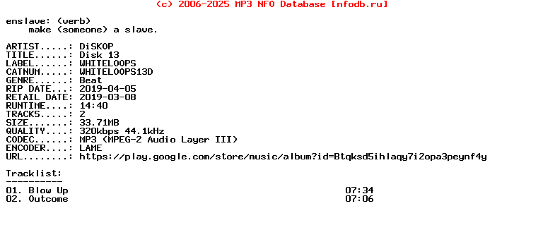 Diskop-Disk_13-(WHITELOOPS13D)-WEB-2019