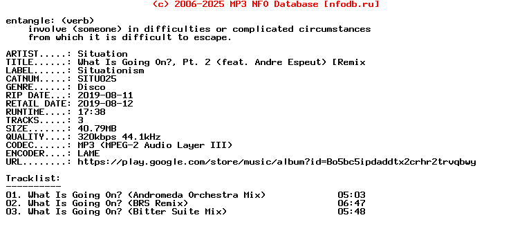 Situation-What_Is_Going_On_Pt_2_(FEAT_ANDRE_ESPEUT)_(REMIX)-(SITU025)-WEB-2019