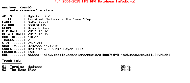 Hybris__Dlr-Terminal_Madness__The_Same_Step-(SSDIGI006)-WEB-2019